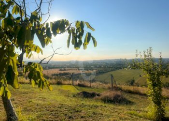 5592037A-2CEC-4CFD-88E1-140A58E02A0B.jpeg - Casale Jesi - foto 4