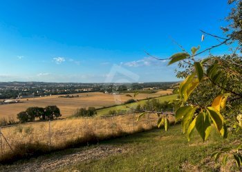 A4EECD84-1C89-480F-88EE-84BBCEE70D7C.jpeg - Casale Jesi - foto 6