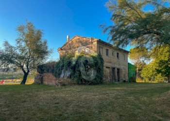 1D4CBABB-17D1-4386-88EE-F7C86EDF9921.jpeg - Casale Jesi - foto 7