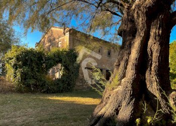 DD1539C9-4A72-4D12-A400-2A6C6D5B1F9D.jpeg - Casale Jesi - foto 23