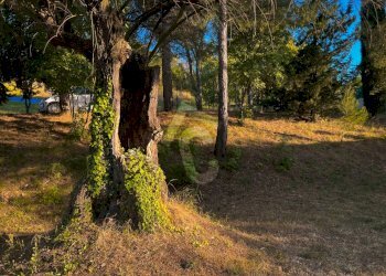 FF79AEE5-094A-45FA-920C-22E74FFA7398.jpeg - Casale Jesi - foto 27