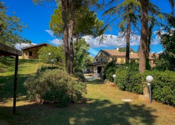 C802ABC5-C6A0-44D6-B31D-ABFFB3D4C504.jpeg - Casa indipendente Castelbellino - foto 7