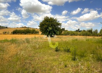 62B1EEBB-869C-44A5-8472-678E5439D9D3.jpeg - Casale Monte Roberto - foto 2