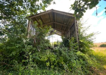 5B4636F7-D7CB-4AD9-B315-D26B4A1BD644.jpeg - Casale Monte Roberto - foto 4