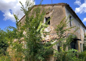 07CB18FD-B015-4238-8075-F06822F35E81.jpeg - Casale Monte Roberto - foto 6