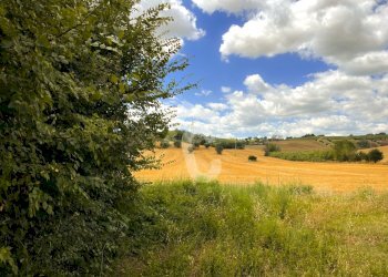 A75361E2-C199-46E1-AE21-BCDEA426D1BC.jpeg - Casale Monte Roberto - foto 7