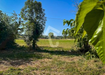 ADC2C638-15F4-4B0D-AC76-B4B4138B8DAF.jpeg - Casale Senigallia - foto 3