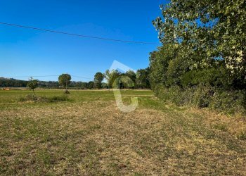 AC9F2022-50FD-4F89-AC3C-FA52E68CBC7B.jpeg - Casale Senigallia - foto 5