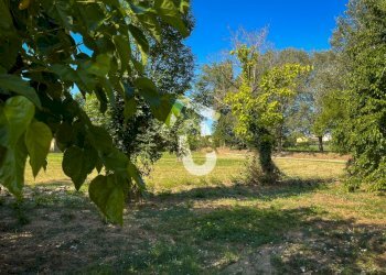 121F7B58-4C7B-42BA-A04C-285DEAB68105.jpeg - Casale Senigallia - foto 8