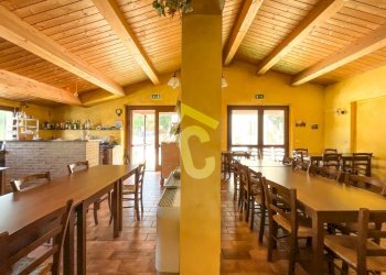 2926CB74-88F8-4E78-B1EC-2D9044445EBB.jpeg - Casale Maiolati Spontini - foto 25