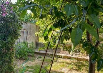 1CC2717A-40E5-4168-B6D8-E049575B92C6.jpeg - Quadrilocale Montecarotto - foto 4