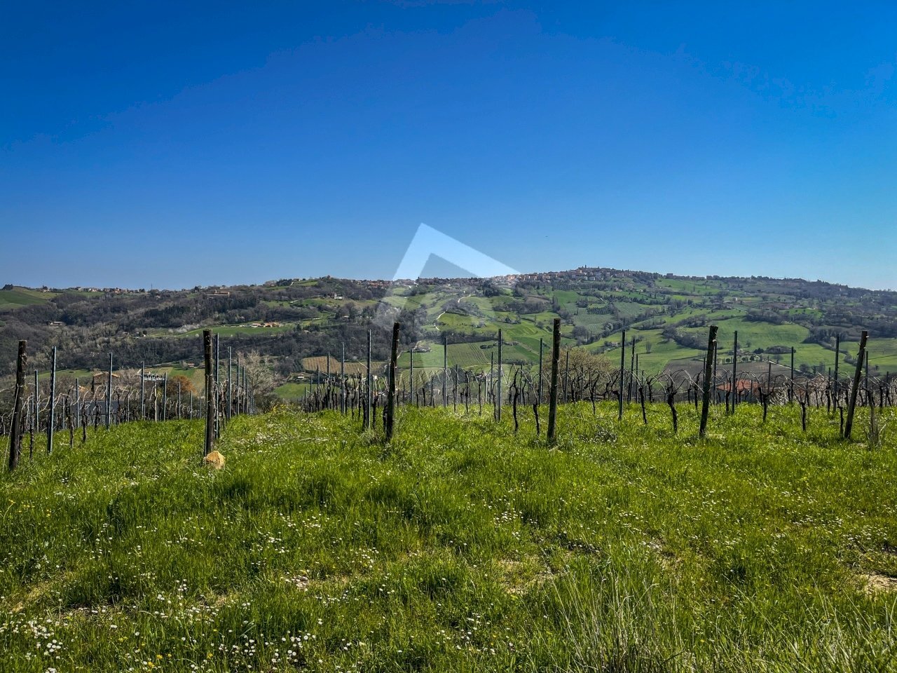 27CB2676-2498-424E-84C2-F949313935C0.jpeg - Casale Serra San Quirico - foto 3