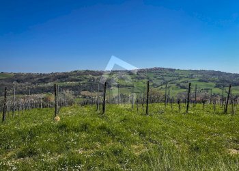 27CB2676-2498-424E-84C2-F949313935C0.jpeg - Casale Serra San Quirico - foto 3