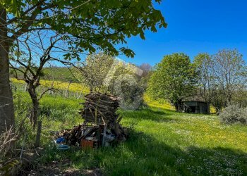 FBDEE8CA-3EB0-4D8D-A9B6-E195FC1596D3.jpeg - Casale Serra San Quirico - foto 9