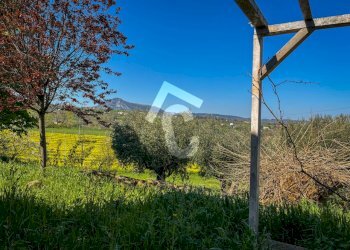 362C73CC-3706-4C0E-A722-861C5F631F07.jpeg - Casale Serra San Quirico - foto 27