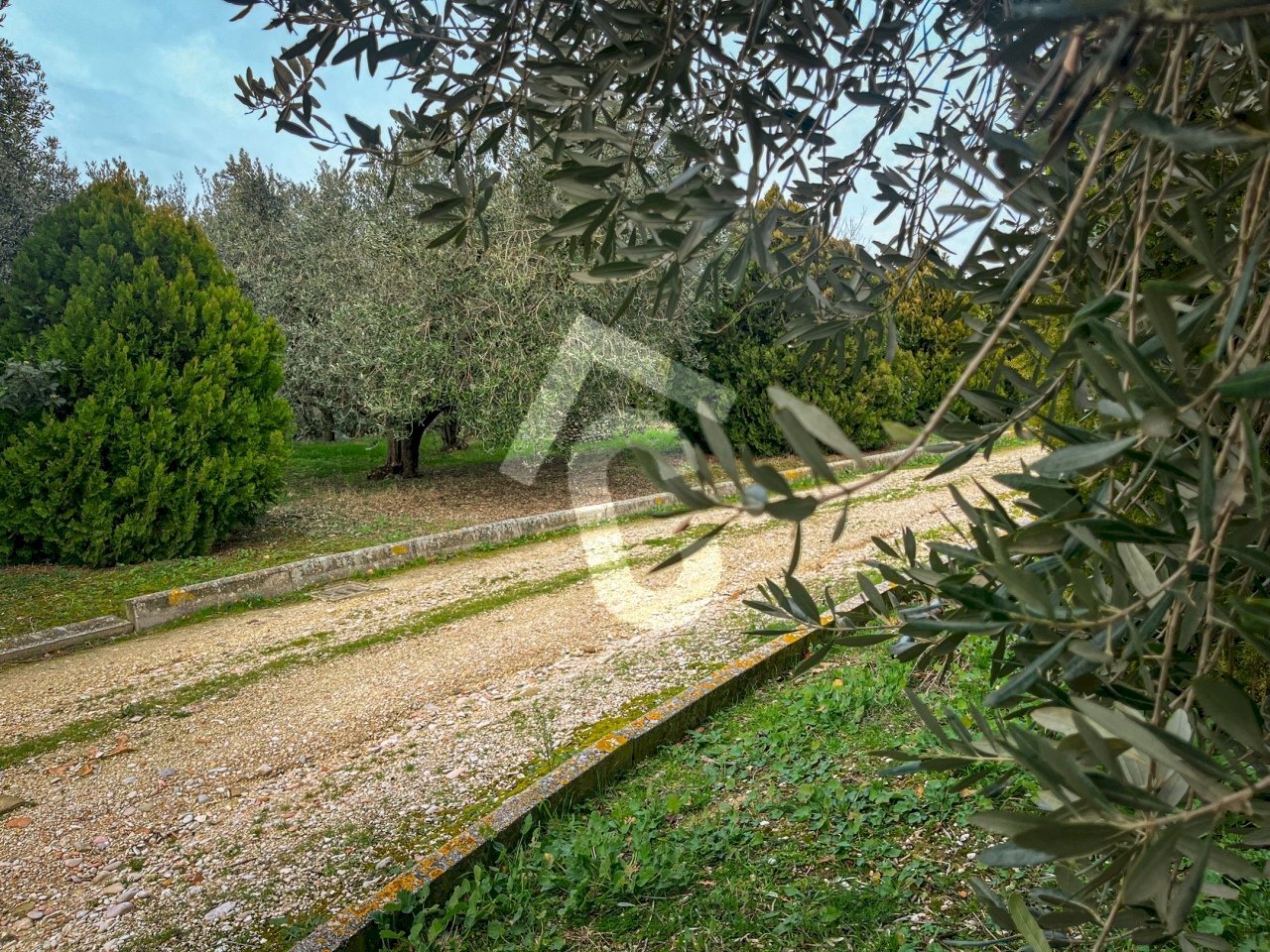 11104392-FEFE-4A00-B2D1-C1B565E30F01.jpeg - Terreno edificabile Jesi - foto 2