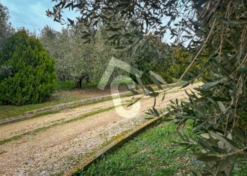 11104392-FEFE-4A00-B2D1-C1B565E30F01.jpeg - Terreno edificabile Jesi - foto 2