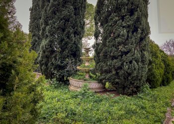 C2FC9D77-AF61-4295-9AEF-C3528ADEB84D.jpeg - Terreno edificabile Jesi - foto 6