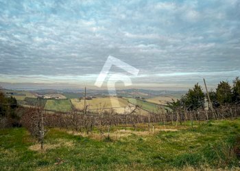 2EC6219D-A0C2-4420-BEEF-6FEA074D86FC.jpeg - Terreno edificabile Jesi - foto 16