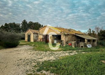 Esclusiva - 2025-01-20T122636.663.png - Terreno edificabile Jesi - foto 18