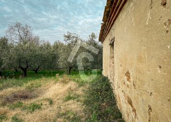 ACBBE8A1-93D8-4DE5-8A6C-7BBEEC758345.jpeg - Terreno edificabile Jesi - foto 22