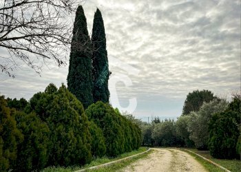 B5C1985C-5F35-4007-8E4E-8D05552BA6DA.jpeg - Terreno edificabile Jesi - foto 24