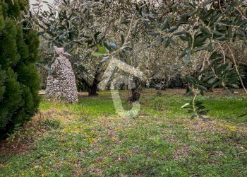 400BB9C6-9B14-414B-A76B-42ED132D327D.jpeg - Terreno edificabile Jesi - foto 25