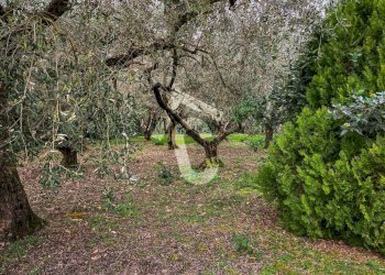 1280931F-6B3F-4298-8467-034BBE0523BC.jpeg - Terreno edificabile Jesi - foto 26