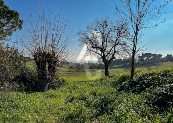 168D28D3-C12D-47DC-96DC-4416E6F2E38C.jpeg - Casale Jesi - foto 7