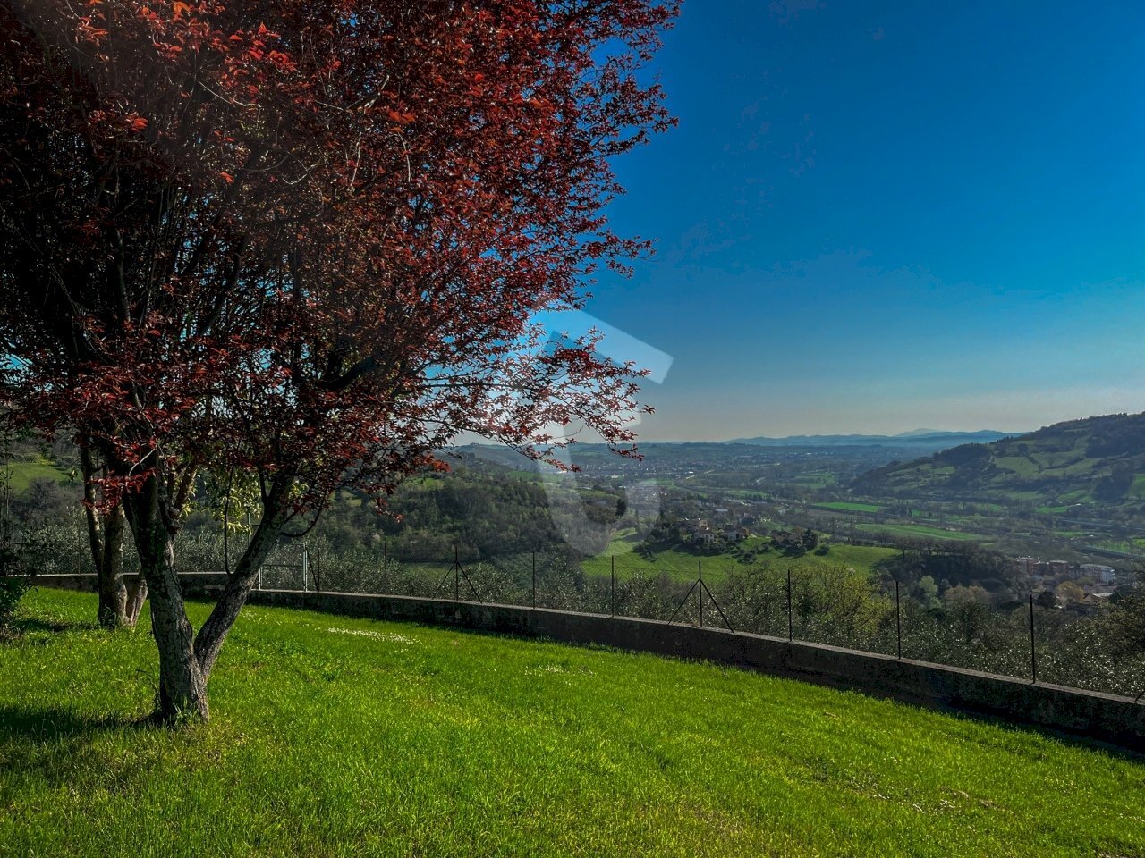 6073CAB2-7376-4B3D-B50D-77AA824DDCE1.jpeg - Casale Rosora - foto 3