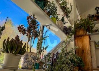 B34B3A70-2869-497C-A474-96E1856BCC3F.jpeg - Casale Rosora - foto 12