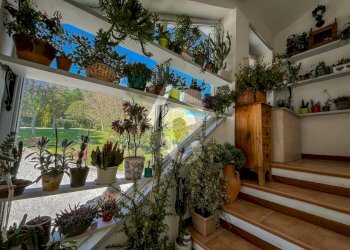 F8F43974-7D3D-4739-A2FA-5DA39B71B55A.jpeg - Casale Rosora - foto 13