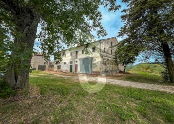 1E329F83-A946-4CE0-A1A0-E80C952CBE02.jpeg - Casale Jesi - foto 16