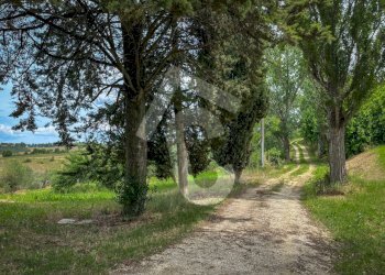 FB51B227-42EA-44BA-80DB-4BC4E1AEDDAD.jpeg - Casale Jesi - foto 17