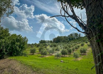 4ABEA2F3-5FE7-4050-9A37-9D5C00BCD62E.jpeg - Casale Jesi - foto 18