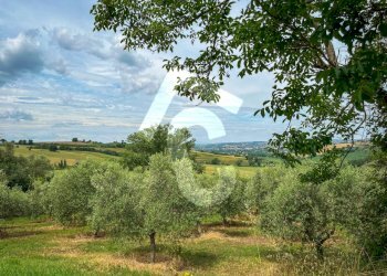 DEC019EE-D235-4099-B229-AE6A6767152F.jpeg - Casale Jesi - foto 23