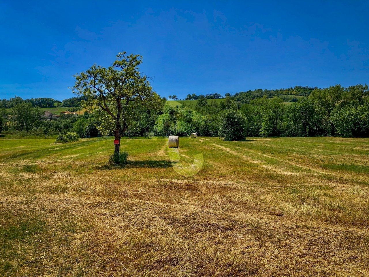 B4A20F74-F90D-416A-BF5D-8B151A7DE532.jpeg - Casale Trecastelli - foto 3