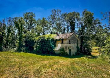 02DB242F-A45D-430A-8C8E-AE01BE66B71A.jpeg - Casale Trecastelli - foto 1