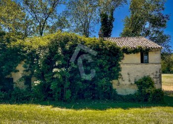 ABC7C1CE-6C90-43AD-9C31-531B0699280A.jpeg - Casale Trecastelli - foto 2