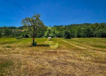 B4A20F74-F90D-416A-BF5D-8B151A7DE532.jpeg - Casale Trecastelli - foto 3