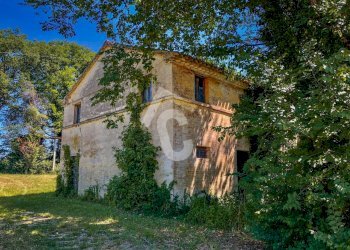 F6A29373-2615-42EE-9A56-CF668666B520.jpeg - Casale Trecastelli - foto 4