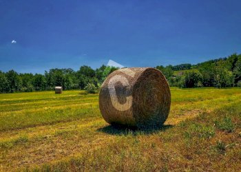 1F728903-BAA9-4698-AA15-BE3CCB93E9B2.jpeg - Casale Trecastelli - foto 5