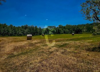 29224257-9806-4DF7-A9F5-3AF7C78C0794.jpeg - Casale Trecastelli - foto 7