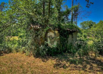 75B755DB-10B9-48B6-8003-AF77D82ADECA.jpeg - Casale Trecastelli - foto 8