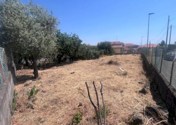 WhatsApp Image 2025-07-02 at 11.15.34 (2).jpeg - Terreno agricolo Tremestieri Etneo - foto 8