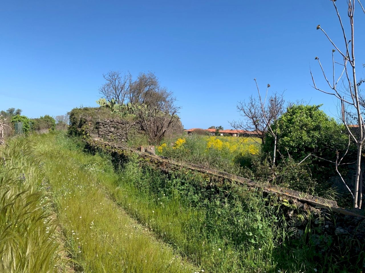 WhatsApp Image 2025-04-18 at 16.05.31 (1).jpeg - Agricultural land Tremestieri Etneo - photo 2