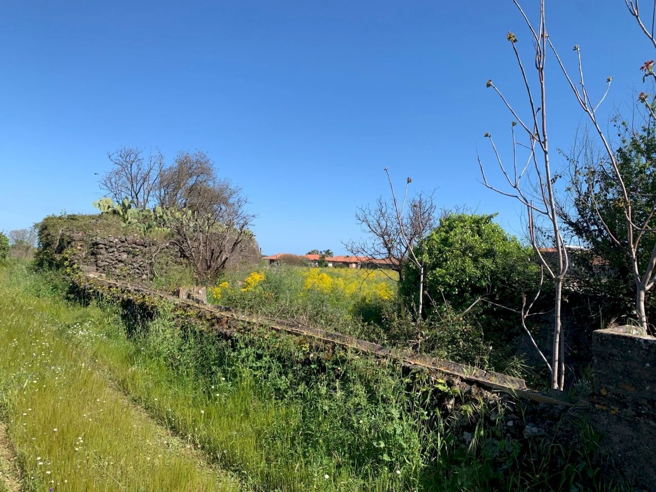 WhatsApp Image 2025-04-18 at 16.05.31 (2).jpeg - Agricultural land Tremestieri Etneo - photo 3