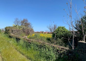 WhatsApp Image 2025-04-18 at 16.05.31 (2).jpeg - Terreno agricolo Tremestieri Etneo - foto 3