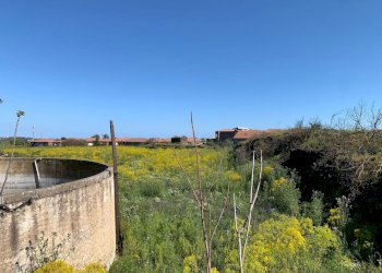 WhatsApp Image 2025-04-18 at 16.05.31 (4).jpeg - Terreno agricolo Tremestieri Etneo - foto 5