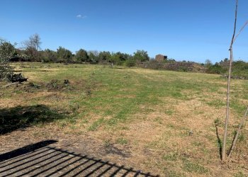 WhatsApp Image 2025-04-18 at 16.05.31.jpeg - Terreno agricolo Tremestieri Etneo - foto 7